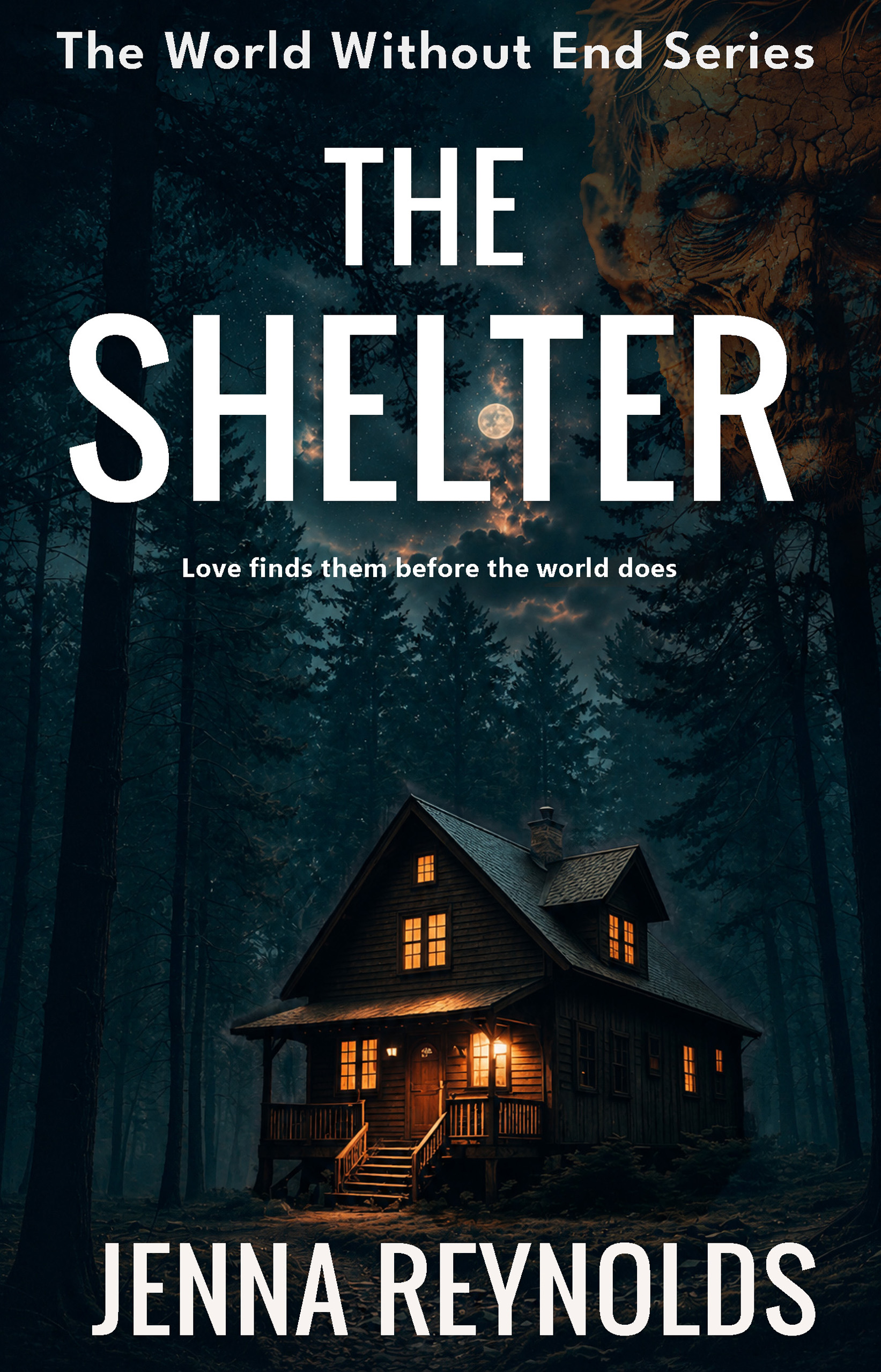 Cover of The Shelter by Jenna Reynolds